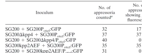 TABLE 4. Formation of appressoria