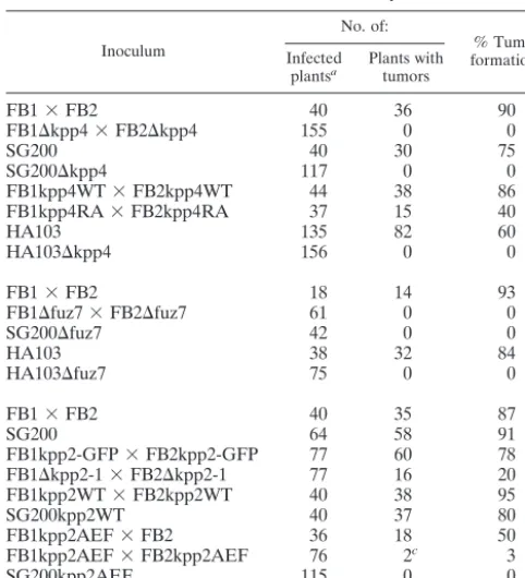 TABLE 3. Plant infection assays