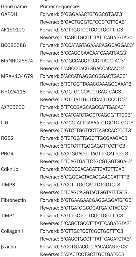 Table 1. Primers sequences for long non-coding RNAs and protein-coding RNAs
