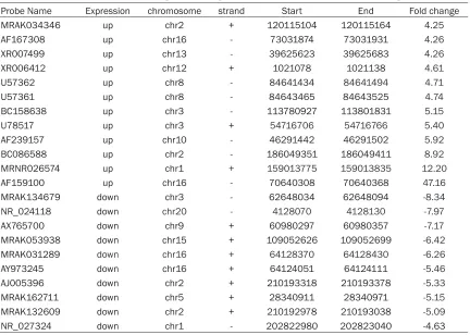 Table 2. Differentially expressed long non-coding RNAs in cardiac fibroblasts (fold change >4)