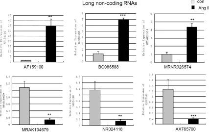 Figure 2. Measurement of changes in BC086588, MRNR026574, MRAK134679, NR024118, AX765700II-treatment (100 nm 24 h) and control cells wereGAPDH expression.long non-coding RNAs using qPCR