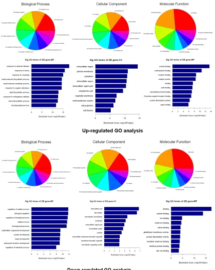 Figure 4. Bioinformatic analysis of the differentially expressed genes. The Gene Ontology (GO) analysis provides a controlled vocabulary to describe differentially expressed transcript attributes in all organisms