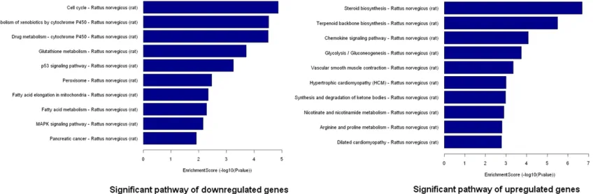 Figure 5. Pathway analysis of the differentially expressed genes. Pathway analysis is a functional analysis that maps genes to KEGG (Kyoto Encyclopedia of Genes and Genomes) pathways (http://www.genome.jp/kegg/)