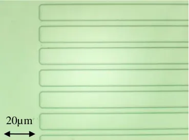 Figure 5: Since the input waveguide has a cross section of 4µm by 0.32µm the coupling loss from an input 