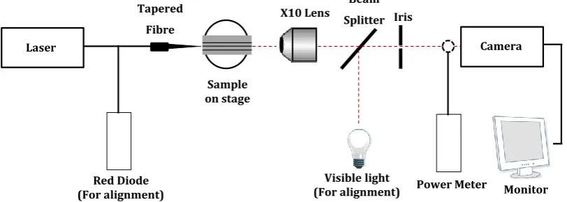 Figure 8: Schematic representation of Optical Bench set-up. 