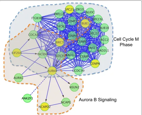 Figure 4 Functional interaction sub-network constructed by using module 2 genes. Gene products involved in the Aurora B signalingpathway have been encapsulated in the light brown shaded area, while gene products involved as components of the kinetochore in