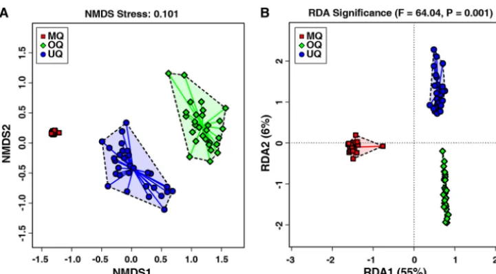 FIG 3The similarity and variation of gut microbial community structures across the three queen groups ofunmated queens (UQ), mated queens (MQ), and ovipositing queens (OQ)