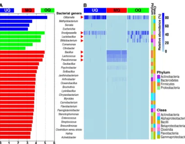 FIG 4 Comparison of the predominant bacterial genera among the three queen groupings of unmated queens (UQ),differences (mated queens (MQ), and ovipositing queens (OQ)
