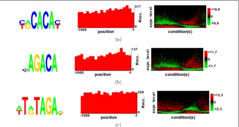 Figure 3 Comparison between different motifs in P. falciparum, using the Pearson correlation between their density profiles [11]