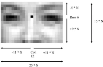 figure 1. Excluding the lower part of the face makes the 