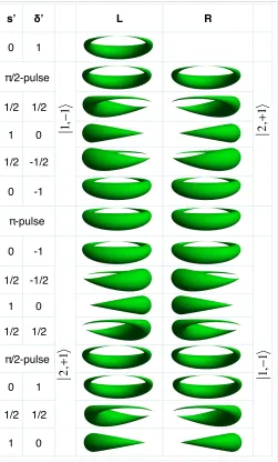Figure 9. A sketch of the isopotential surfaces for the ‘bucket’ traps showing thediﬀerent stages of transport during the interferometer sequence