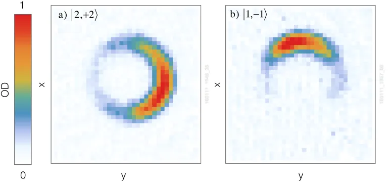 Figure 6. Experimental realisation of arbitrary traps with (The ﬁtted radius is 440αand diﬀer only in the state of the atoms