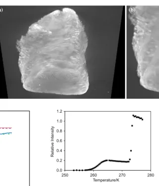 Fig. 4 Computerised X-rayTomography (CXT) image ofa a monolithic fragmentfollowing mercury entrapment,and b a close-up view of the leftlimb of the monolith image
