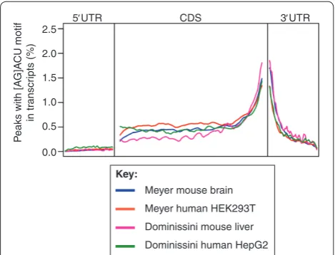 Figure 3 . Distribution of [AG]ACU motif sites. The [AG]ACU motif was used to fi nd potential m6A sites within peaks, and the distribution of these potential sites across gene bodies plotted