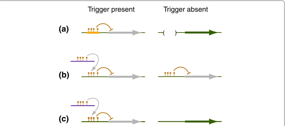 Figure 1. Classes of epialleles. (a) Epigenetic modifications and associated silencing of the adjacent gene is dependent on a specific cis-element, often a repetitive element