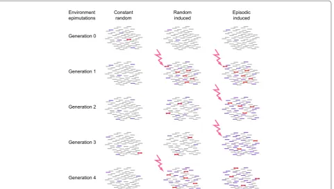 Figure 2. The potential role of inherited epigenetic changes, comparing the effects of spontaneous and induced epimutations