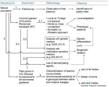 Figure 2. Experimental framework for differentiating genetic and epigenetic regulation of phenotypic plasticity