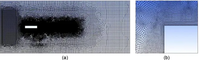 Figure 2. Computational grid in the x-z plane for the entire domain (a) and aroud the leading edge (b)