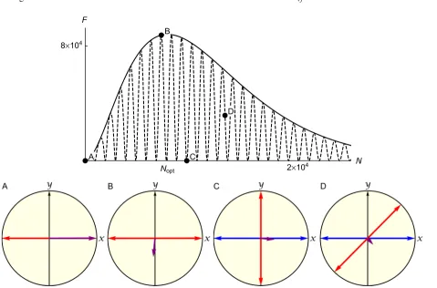 FIG. 4. Contour plot of the optimal number of iterations Nobtained from the maximization ofϕ and the concentration parameteropt as fN(ϕ), as a function of the phase κ