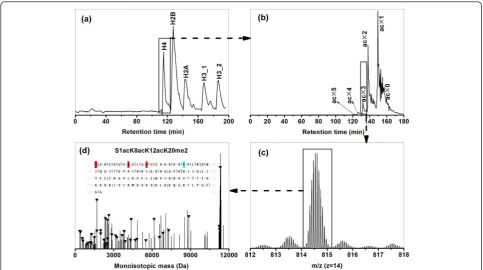 Figure 1 Overall experimental workflow as illustrated by the identification of H4 (P62805) isoform S1acK8acK12acK20me2chromatogram from WCX-HILIC-MS/MS analysis of H4 fraction from the first dimension.13 shown) at retention time 136.54 min from WCX-HILIC-M