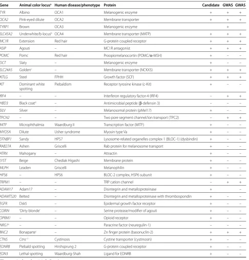 Table 1. Human pigmentation gene identification and function