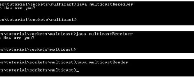 Figure 31: Screenshots of Execution of a Multicast Sender and Receiver Program 