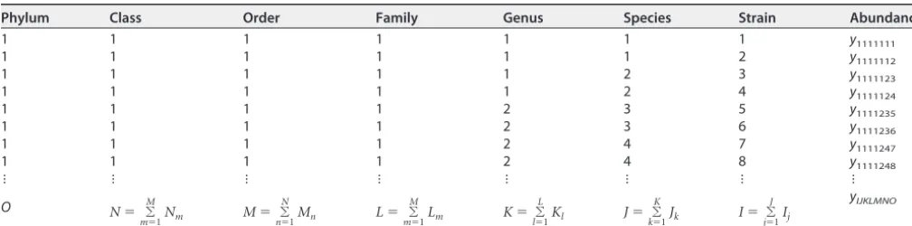 TABLE 1 Data structure of microbial abundance from different strains, species, genera, families, orders, classes, and phyla