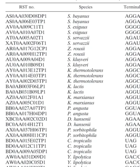 TABLE 1. RSTs used to analyze 3� ETS secondary structures