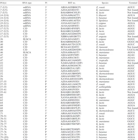 TABLE 2. RSTs used to analyze processing signals in sn(o) RNAsa