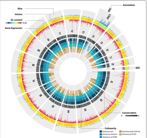 Figure 3 Integrative and comparative view of the Bathycoccus genome showing both structural (GC content, introns, colinearity) andfunctional characteristics (gene expression, conservation)