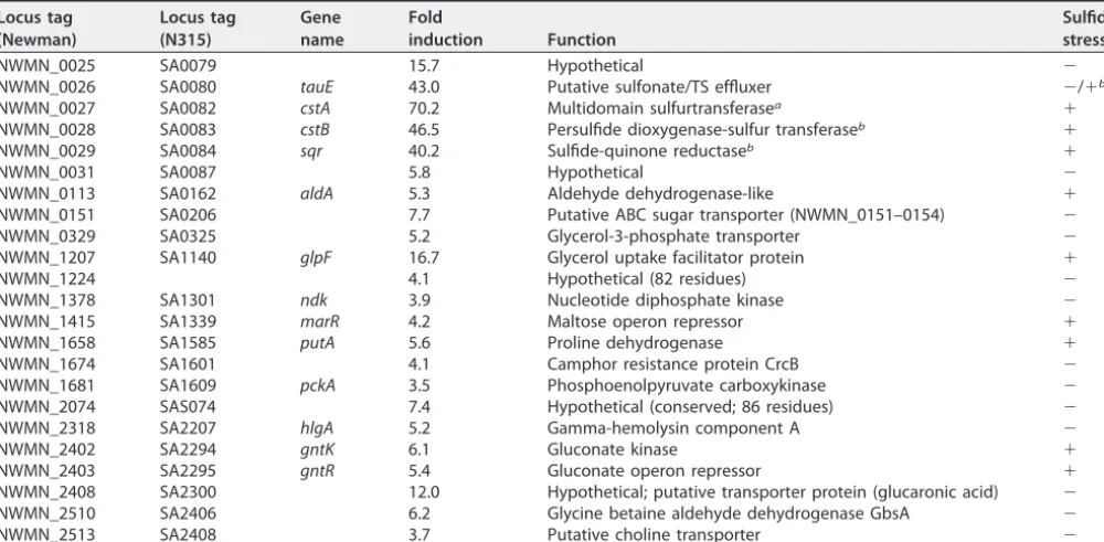 TABLE 3 List of genes signiﬁcantly (�3.5-fold) upregulated in the ΔcstR strain relative to the wild-type strain