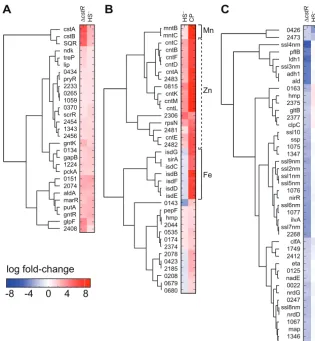 FIG 2 Clustering analysis and RNAseq transcriptomic analysis of Staphylococcus aureus strain Newman.Genes that change expression signiﬁcantly in pairwise comparisons of results of sulﬁde (HS�) treatmentversus the ΔcstR strain (upregulated genes only) (A) o