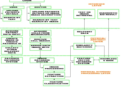 table and primary key for the image table. Both Patient ID and 