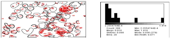 Figure 5.  Image processing techniques. 
