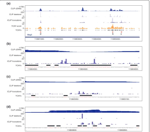 Figure 4 Comparison of CLIP and iCLIP analysis of Nova binding to its primary RNA target, the Meg3 non-coding RNA