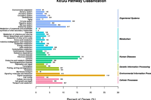 FIG 5 KEGG pathway classiﬁcation of genes in BVECs. The ordinate is the name of the KEGG metabolic pathway, and the abscissa is the ratio of the numberof genes annotated to the pathway and the number of genes in the annotated genes.