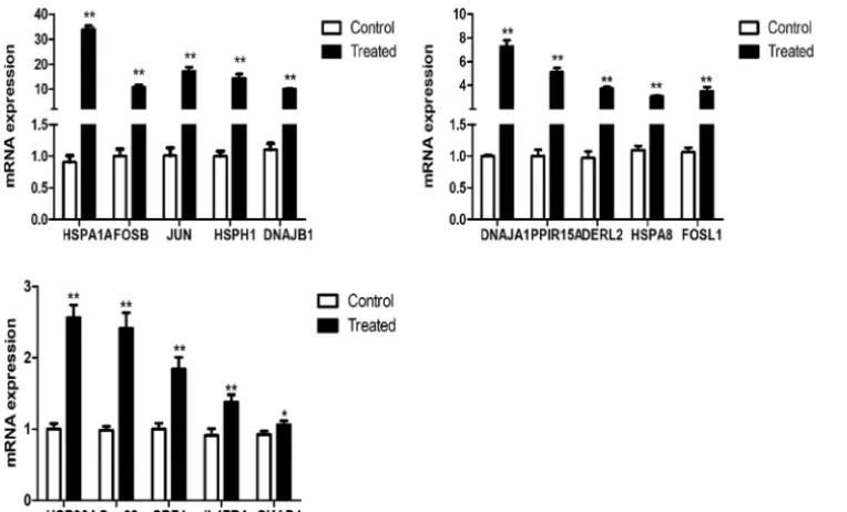 FIG 7 Relative quantiﬁcation of DEGs for veriﬁcation by RT-qPCR. RT-qPCR relative expression levels of selectedgenes were chosen for the cells treated with SQ0048