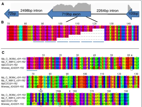 Fig. 4 Analysis of C002 sequences identified. a MpC002 is a single copy gene encoded on the negative strand by three exons