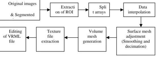 Figure 4. Volume Rendering Pipeline