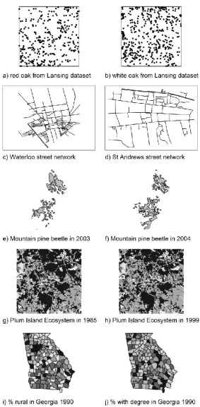 Figure 3: Example datasets used to explore different issues in spatial pattern comparison  analysis
