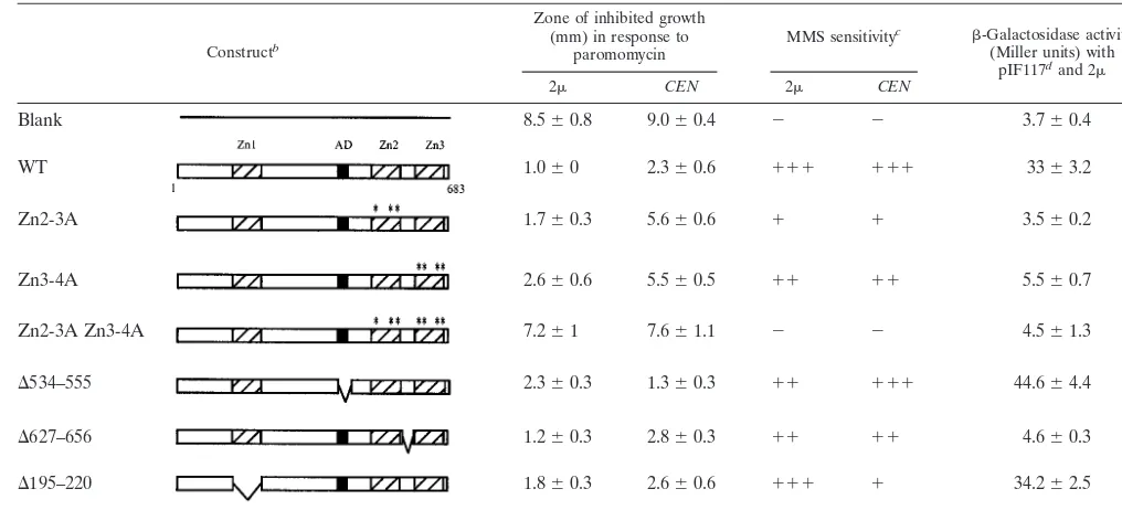 TABLE 3. Domain analysis of Sfp1a