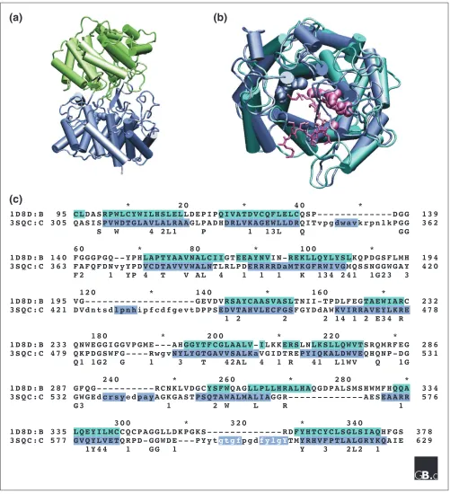 Figure 2 The structural relationship between protein prenyltransferase � subunits and squalene-hopene cyclases