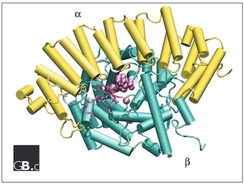 Figure 3The complete structure of rat FT (PDB identifier 1D8D [70]). TheLocalization and functionspheres in the center represent the farnesyl-pyrophosphate and Zn2+, and