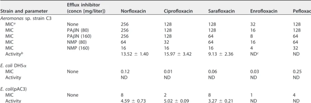 TABLE 1 Fluoroquinolone susceptibilities and N-acetylation activities of Aeromonas sp