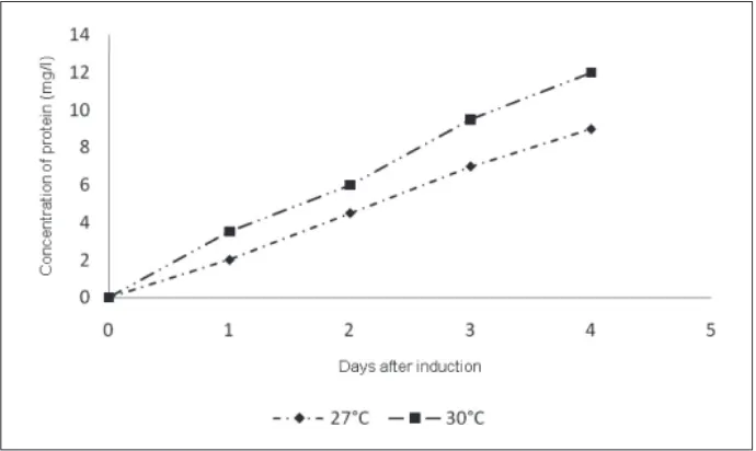 Figure 1. Graphical representation of concentration of protein obtained during differenttime points of induction at different temperatures
