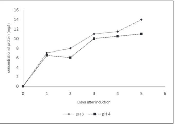 Figure 2. Graphical representation of concentration of protein obtained during differenttime points of induction at different pH (4 and 6)