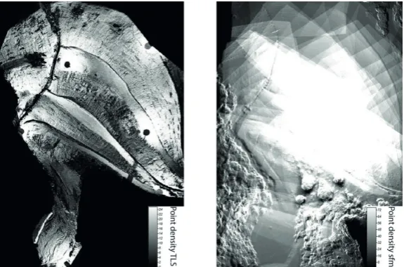 Fig. 5 Point densities for the Rio Marina study site. Note different colour scales for TLS (left) and sfm (right)