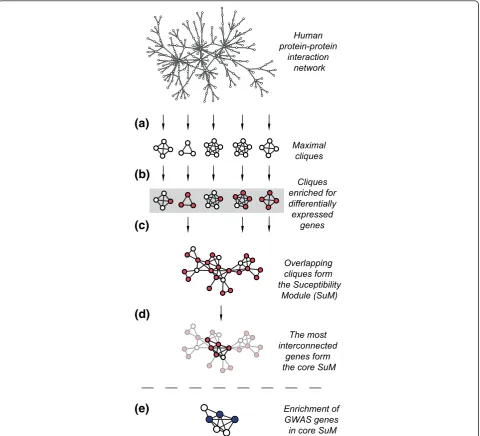 Figure 1 Overview of identification of susceptibility modules (SuMs)associated cliques were identified by selecting those that were enriched for differentially expressed genes.