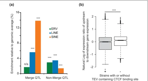 Figure 7 Enrichment of TEVs within merge QTL regions and functional impact of CTCF-binding TEVs
