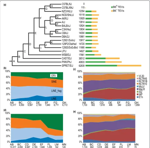 Figure 1 Distribution of TEVs across a phylogeny representing a primary subspecies history of 18 mouse strainsnodes were supported by bootstrap values of 100%